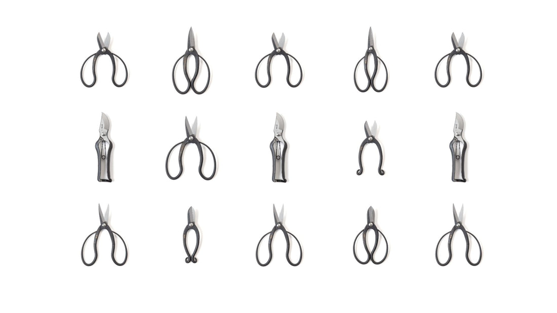 Beyond the Bonsai: A Guide to the Versatility of Japanese Shears