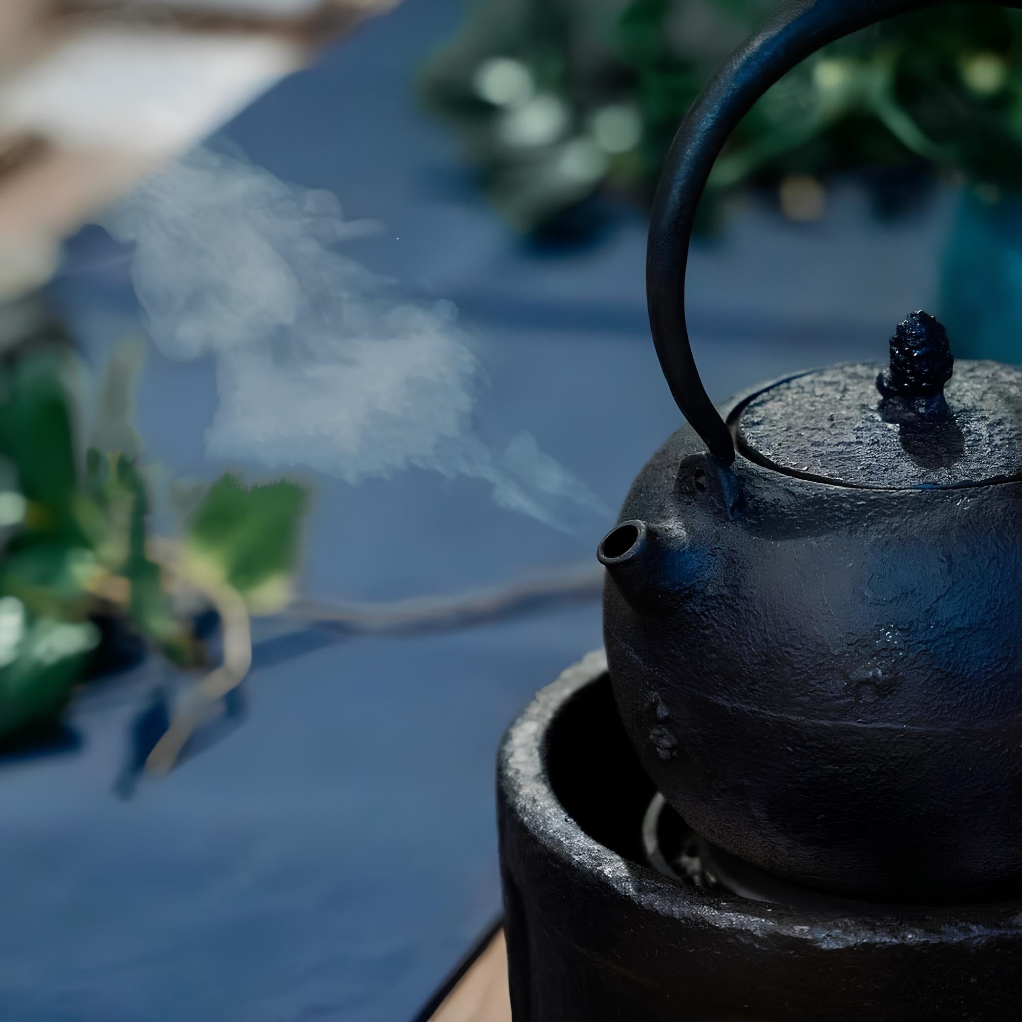 Japanese cast iron pot from Arai Koubou