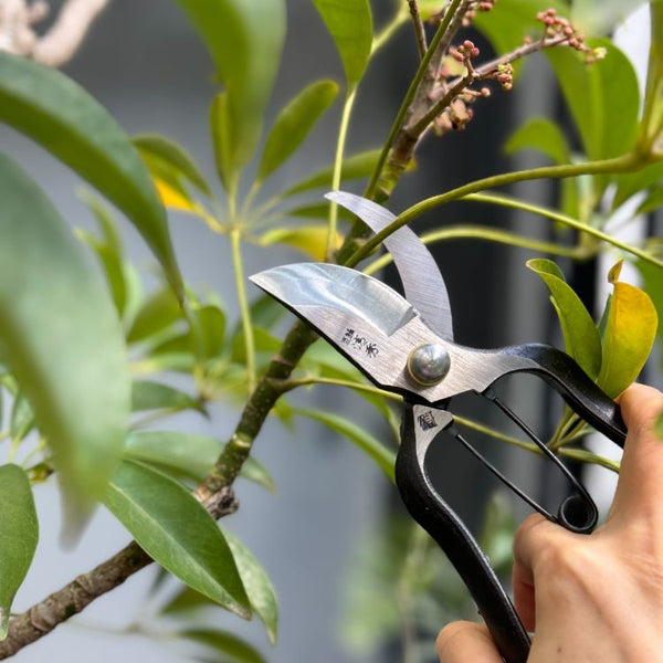 Gardening Tools