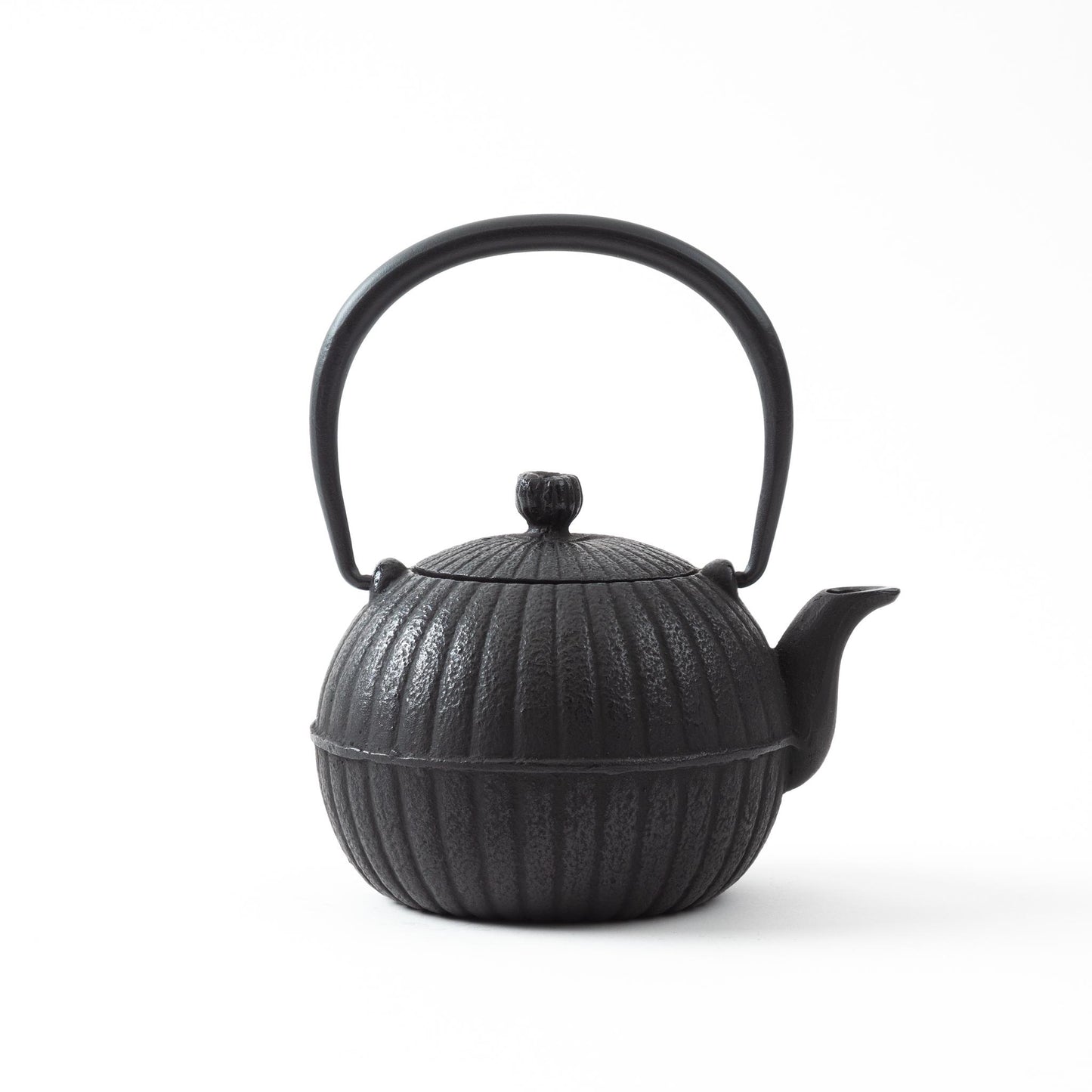 Side view of the Japanese Aster Black Nanbu Cast Iron Teapot, showcasing its traditional design and intricate craftsmanship.