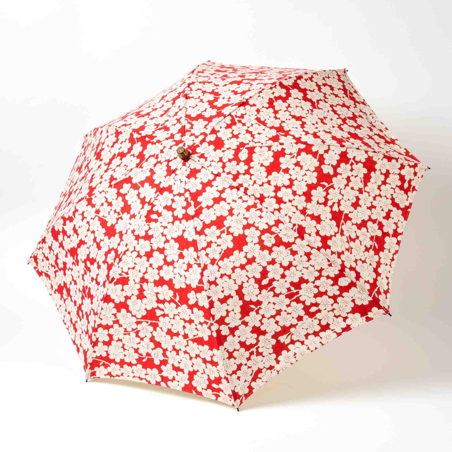 Isa Moyō Folding Umbrella fully opened, showcasing the Sakura (Cherry Blossom) motif against a pink background.
