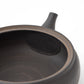 Tokoname Gyokko Kokuyohen Streak Teapot