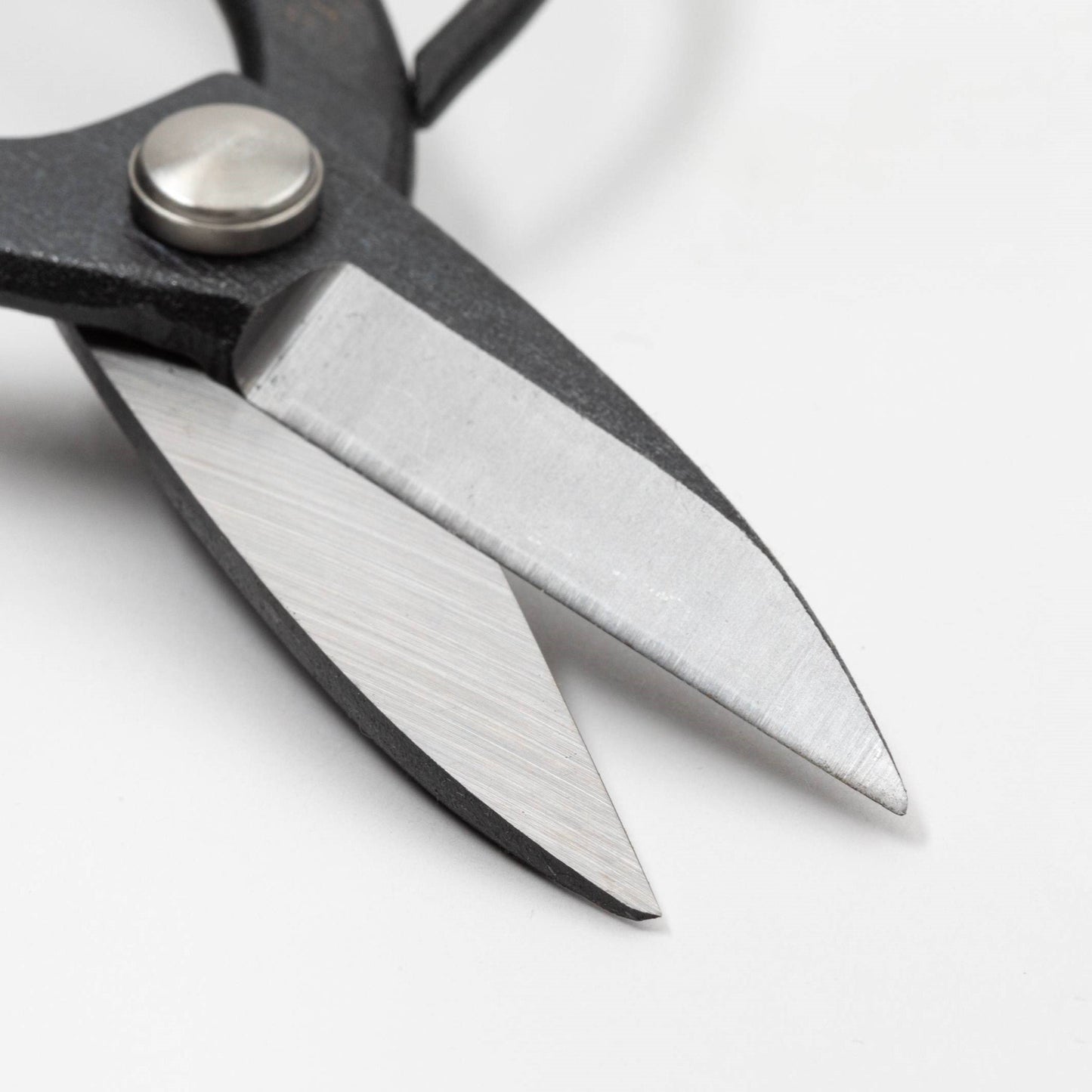 Close-up of Tsurumaki bonsai shears with sharp, polished blades and durable construction - professional-grade Japanese pruning tool.