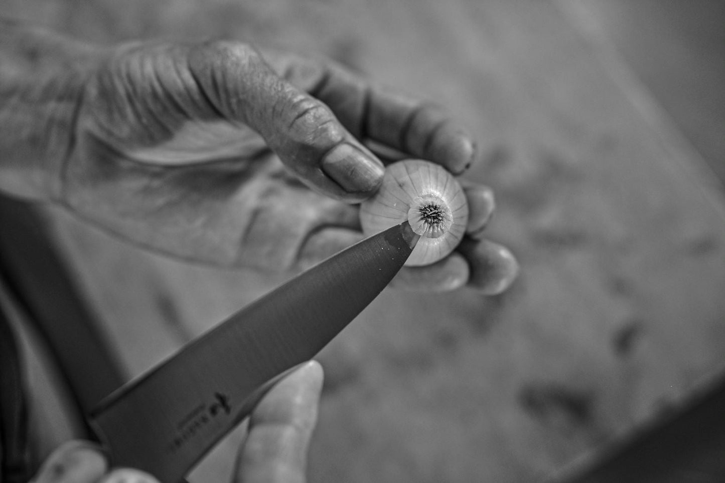 Nagomi Japan PROFESSIONAL Utility Knife